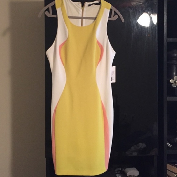 Ark & Co Dresses & Skirts - NWT Color block mini